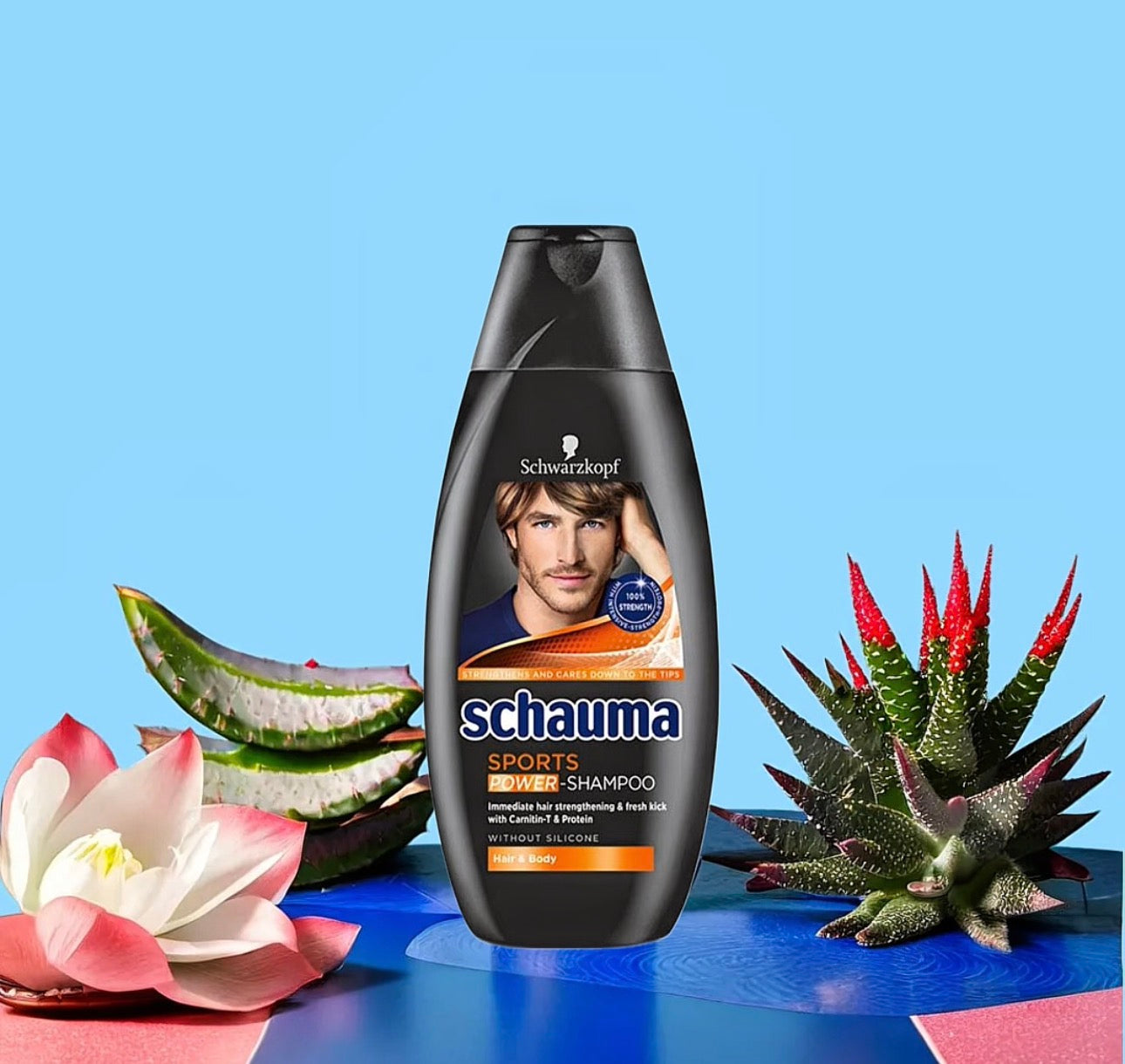 Абонамент за МЪЖЕ